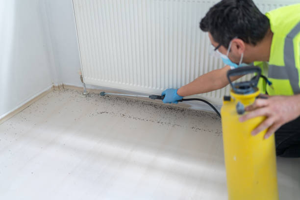 Best Ant Control Services  in Valatie, NY